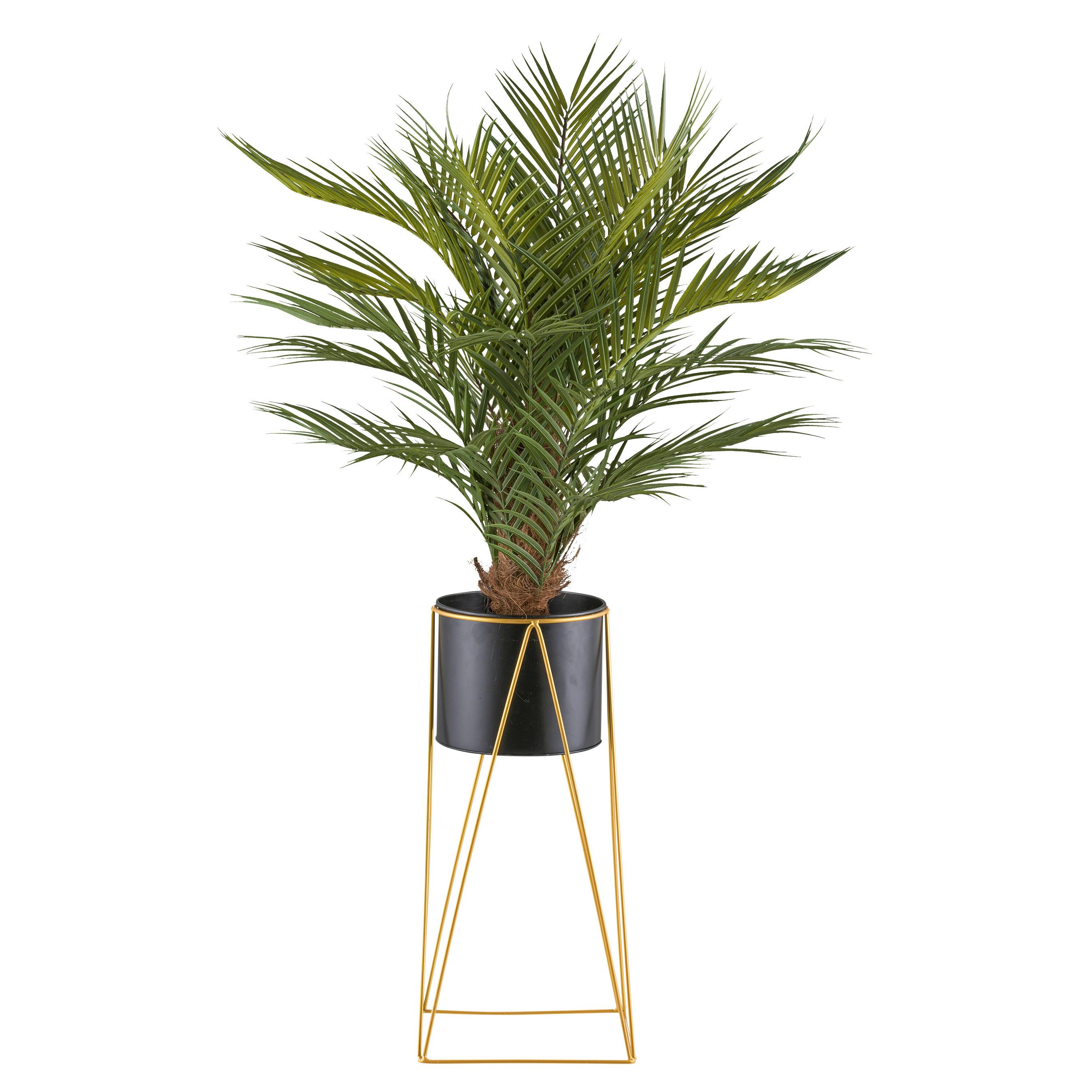 Kunstpflanze Palmen Grün/Braun/Schwarz, 110 cm - Goldfarben/Schwarz, Design, Kunststoff/Metall (110cm) - P & B