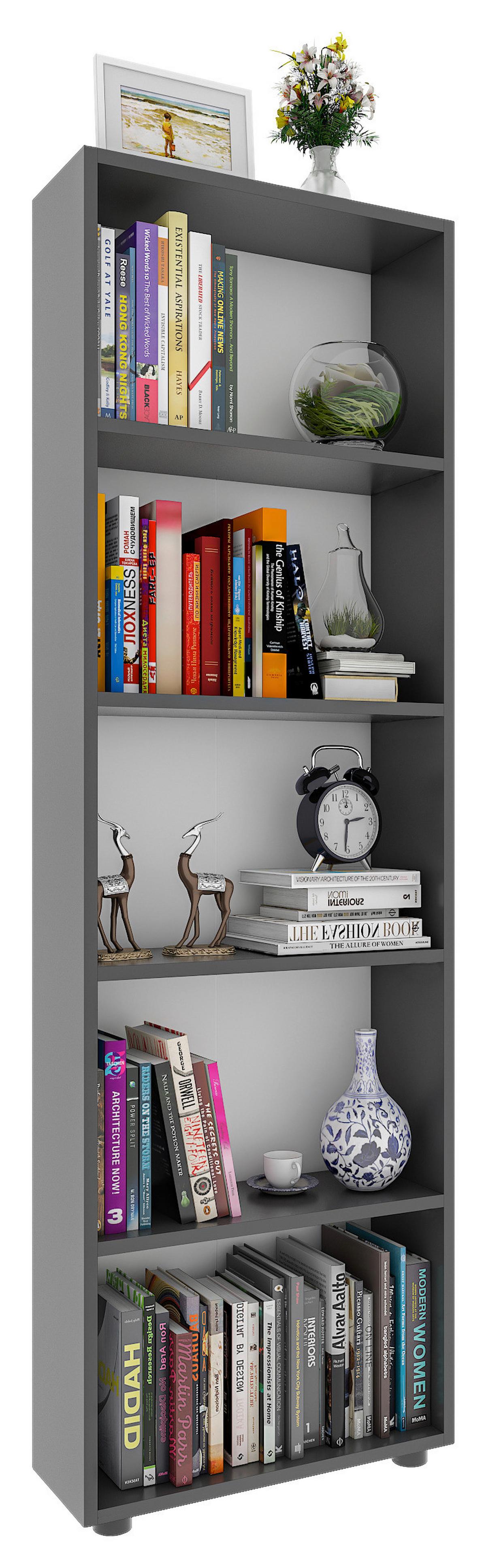 REGAL Bulas Anthrazit B: 56 cm - Anthrazit/Schwarz, Basics, Holzwerkstoff (56/169/20cm) - MID.YOU