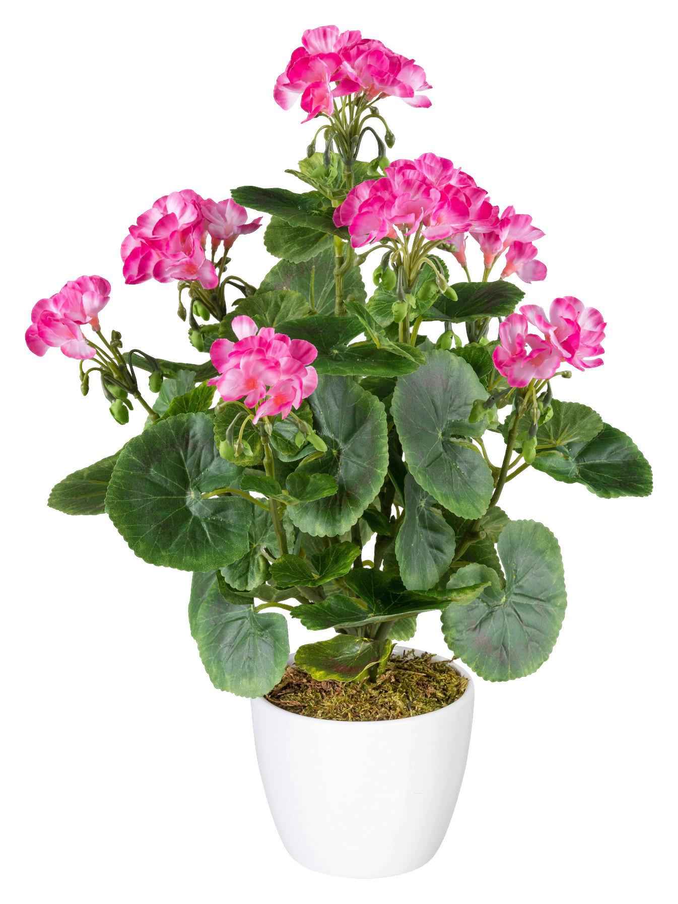 Kunstpflanze Geranie inkl. Topf D: 13 cm - Pink/Weiß, Design, Keramik/Kunststoff (40cm) - P & B