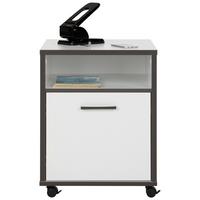 POJÍZDNÝ KONTEJNER KEFLAVIK -EXKLUSIV- - šedá/bílá, Moderní, kov/kompozitní dřevo (49,8/64,6/52,2cm) - Mömax