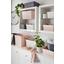 Regálový Košík Seoul - Xl - biela, Konvenčný, plast (29,6/29,6/29,6cm) Regálový Košík Seoul - Xl - biela, Konvenčný, plast (29,6/29,6/29,6cm)