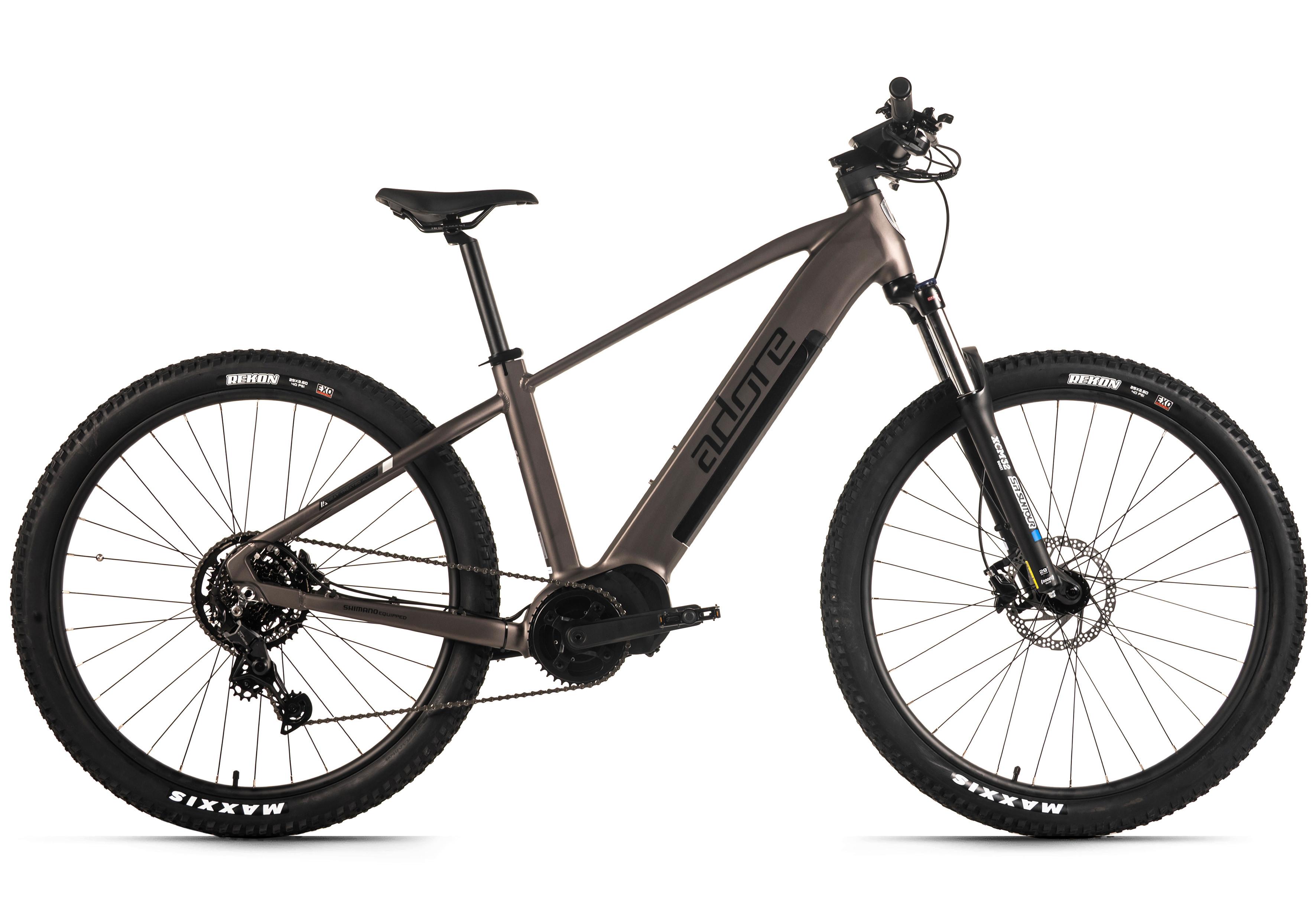 E-mountainbike Hardtail 29'' Platingrau Matt - Grau, LIFESTYLE, Metall (180/70/100cm)