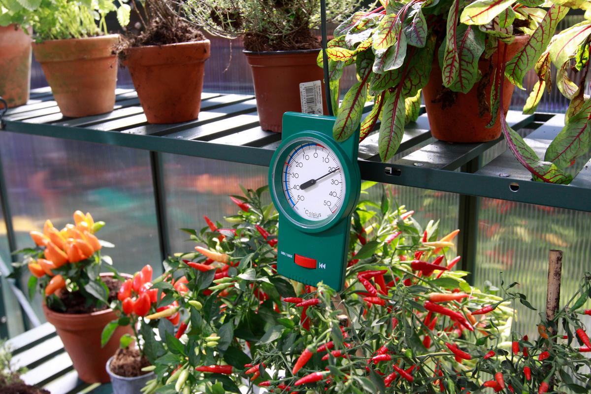 Thermometer Min-Max Smaragd - Grün, Basics, Kunststoff (4/2/8cm)