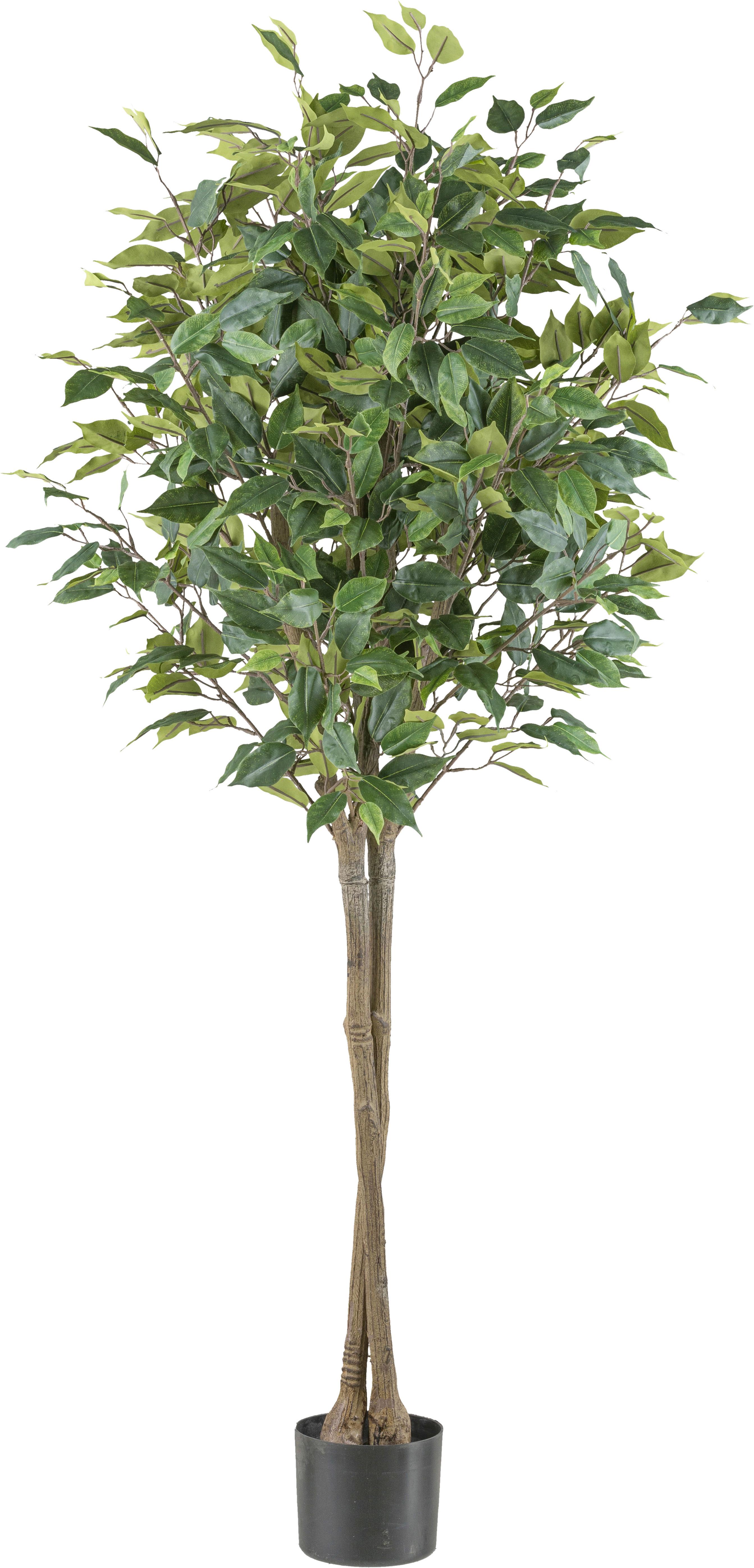Kunstpflanze Ficus Benjamina H: 125 cm - Schwarz/Braun, Design, Kunststoff (125cm) - P & B