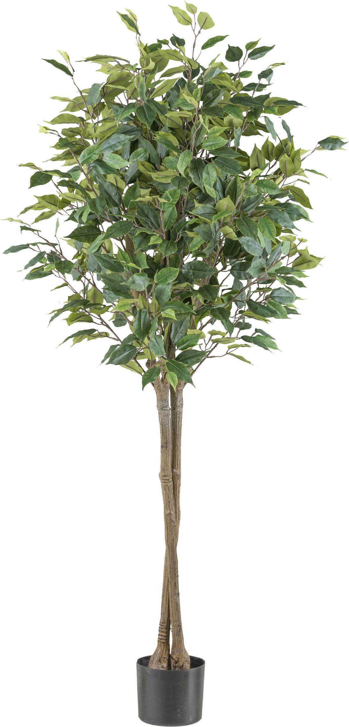 Kunstpflanze Ficus Benjamina H: 125 cm - Schwarz/Braun, Design, Kunststoff (125cm) - P & B