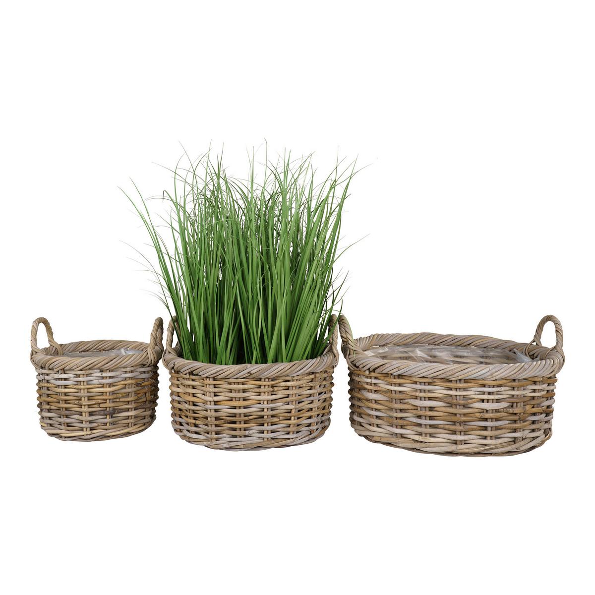 Korbset Kuta Hellbraun B: 50 Cm - Hellbraun/Klar, Basics, Holz/Kunststoff (50/28/50cm)