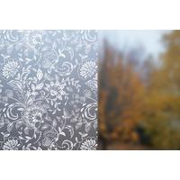 Sichtschutzfolie Ff Vp Land Transparent - Transparent, Basics, Kunststoff (45/150cm)