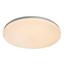 Led Stropní Svítidlo Jana 1 - bílá, Konvenční, kov/umělá hmota (29/5cm)