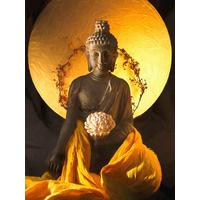 Multimediabild Adem - Multicolor, KONVENTIONELL, Holzwerkstoff/Textil (60/80cm) - Luca Bessoni