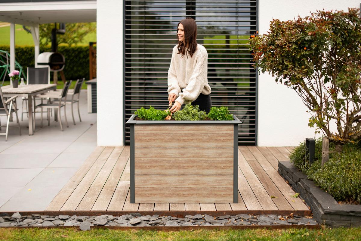 Hochbeet Primus-Multi M - Lärchefarben, KONVENTIONELL, Metall (50/100/77cm)