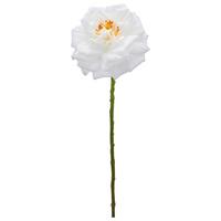 Ruža ROSE II -PAZ- - biela, Basics (63cm) - Mömax