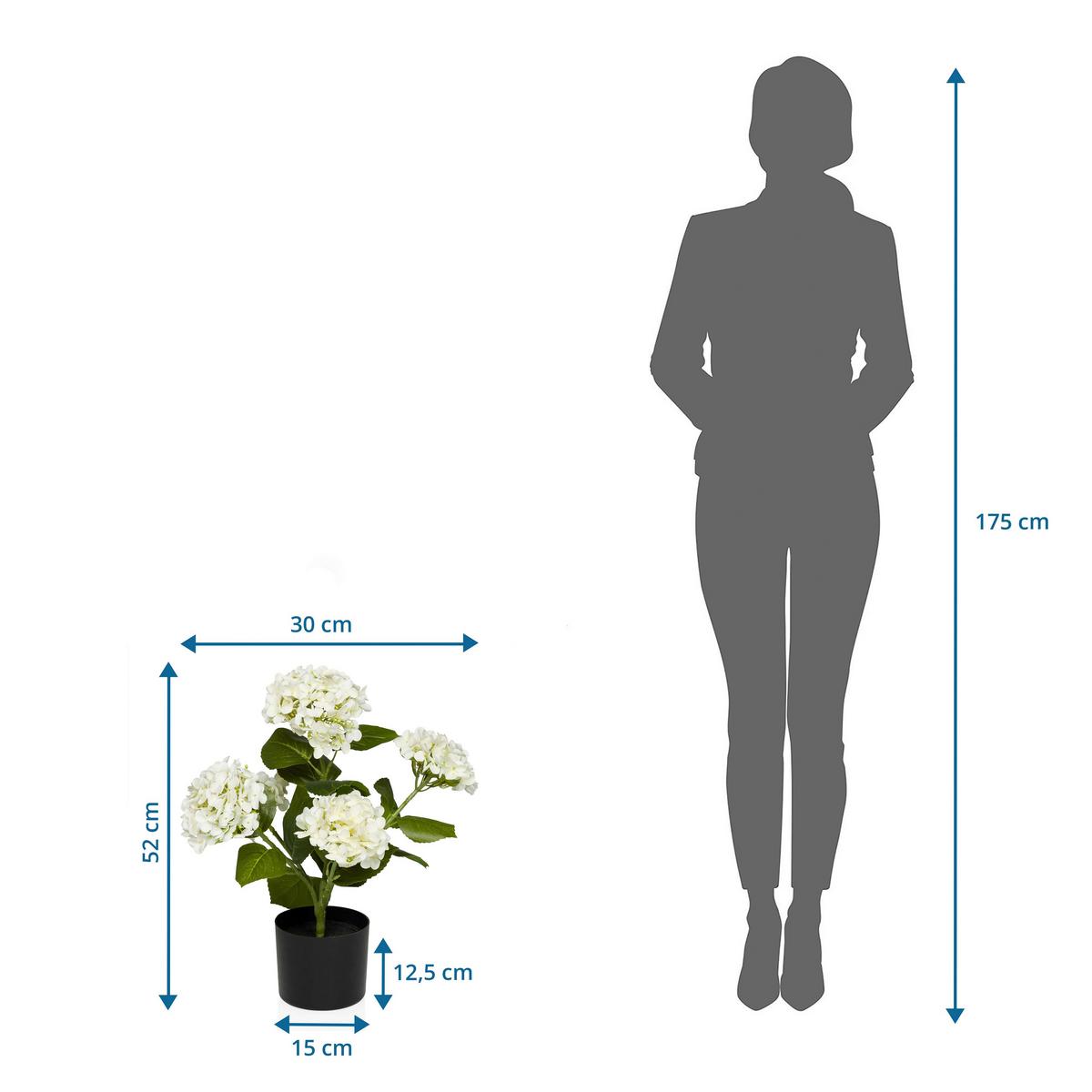 Kunstpflanze Grün/weiß B: 30 Cm - Schwarz/Weiß, MODERN, Kunststoff (30/52/30cm) - MID.YOU