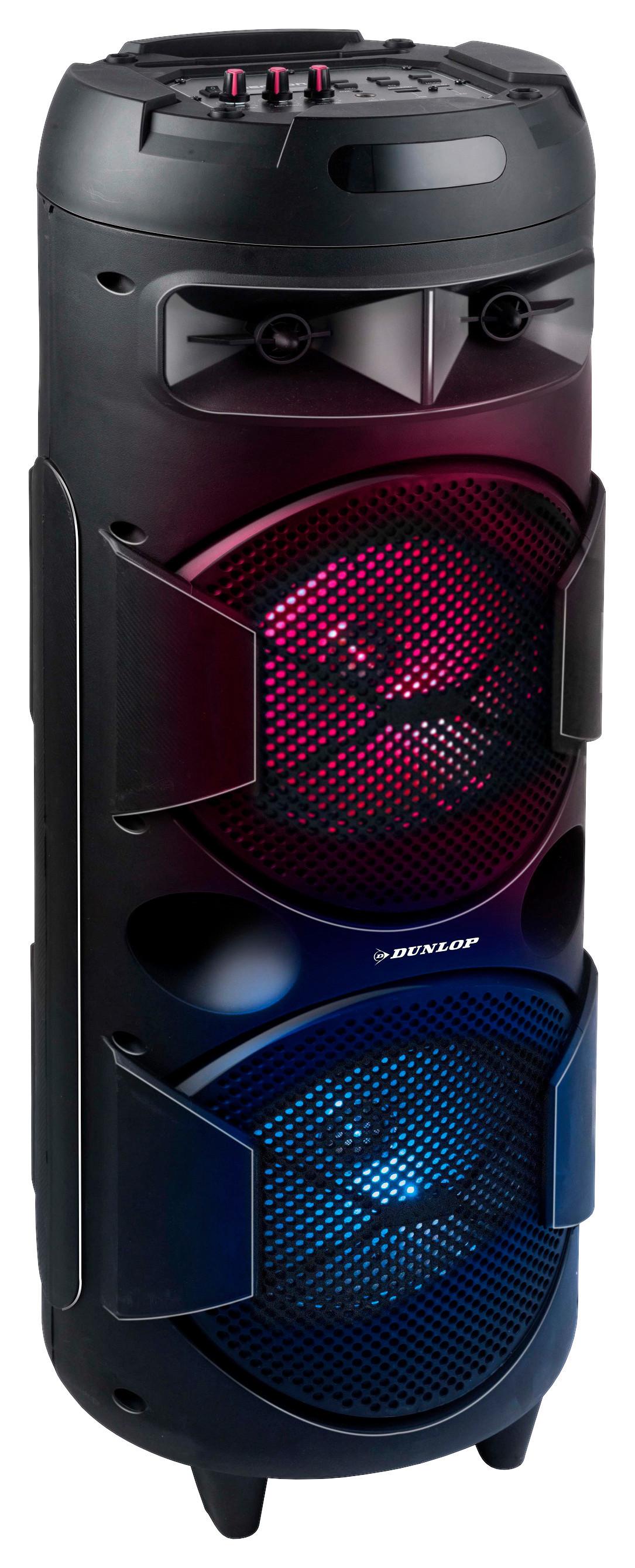 LAUTSPRECHER 2408-2480Hz - Schwarz, KONVENTIONELL, Kunststoff (28/80/28cm)