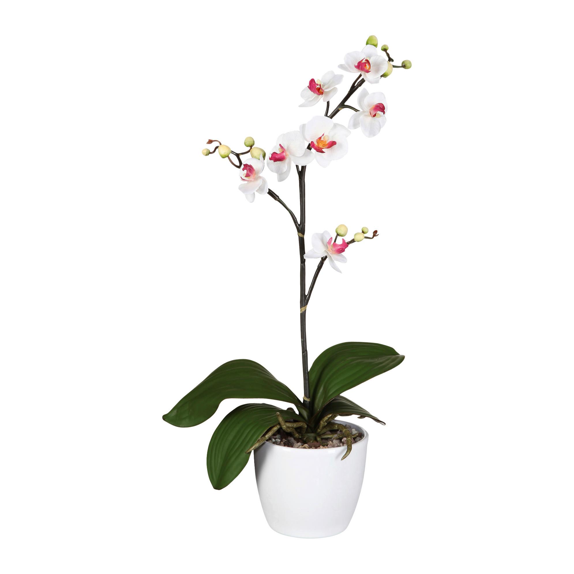 Kunstpflanze Orchideen Weiß-Rosa,topf: Weiß, H: 55 cm - Rosa/Weiß, Design, Keramik/Kunststoff (55cm) - P & B
