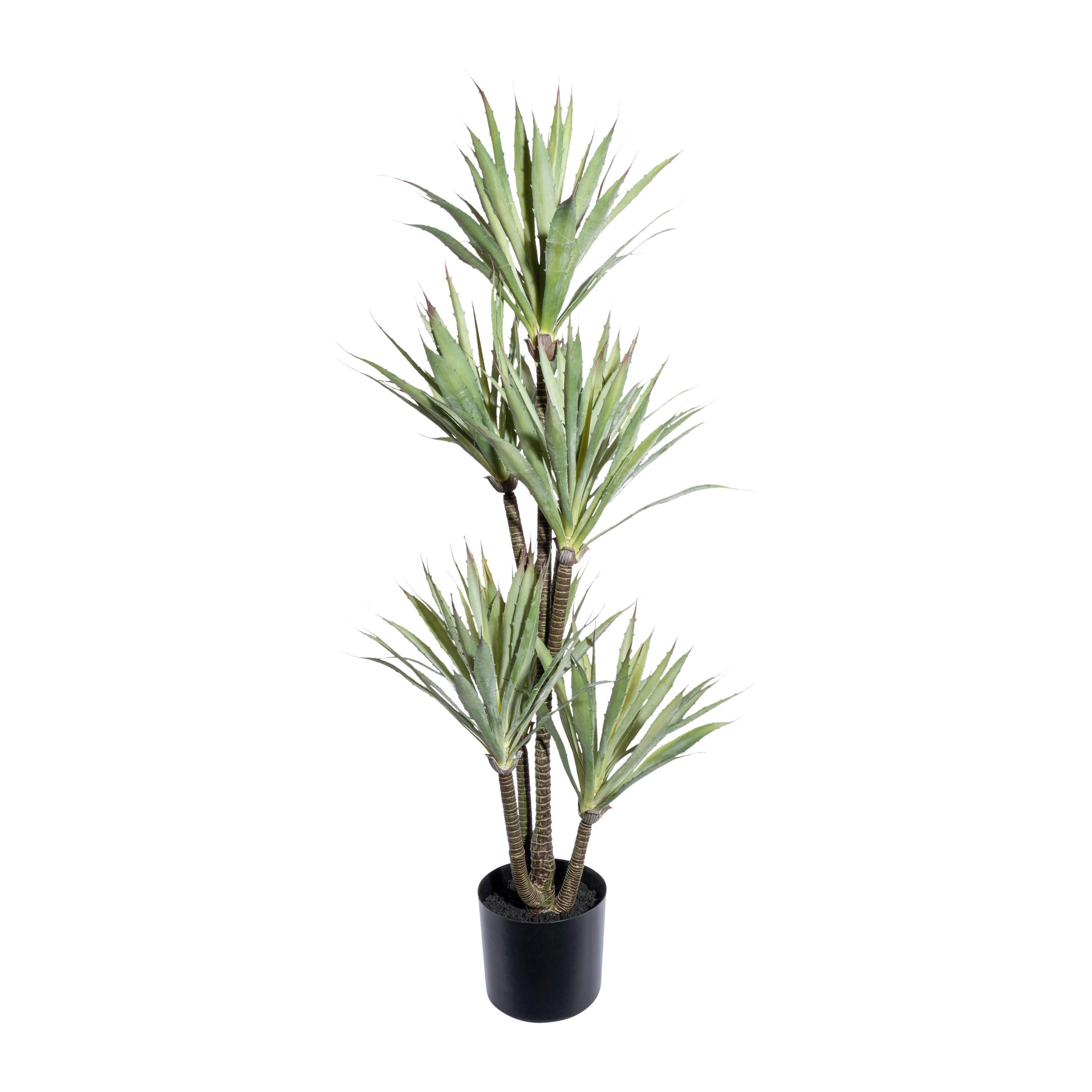 Kunstpflanze Agave H: 110 cm - Schwarz/Braun, Design, Kunststoff (110cm) - P & B