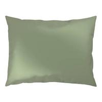 OBLIEČKA NA VANKÚŠ XENIA UNI - svetlozelená, Modern, textil (50/70cm) - Premium Living
