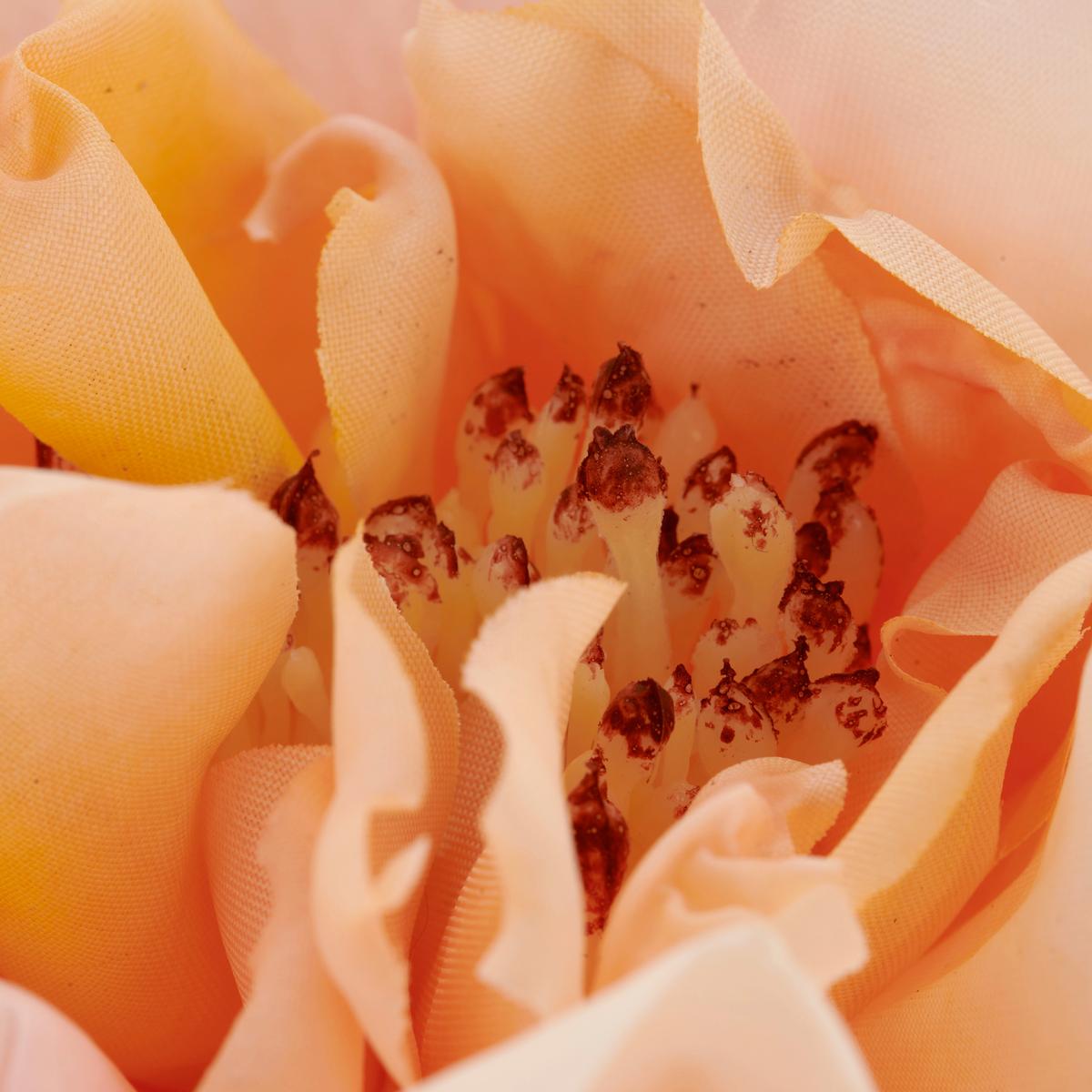 Ruža ROSE II -PAZ- - zelená/ružová, Basics, kov/textil (63cm) - Mömax