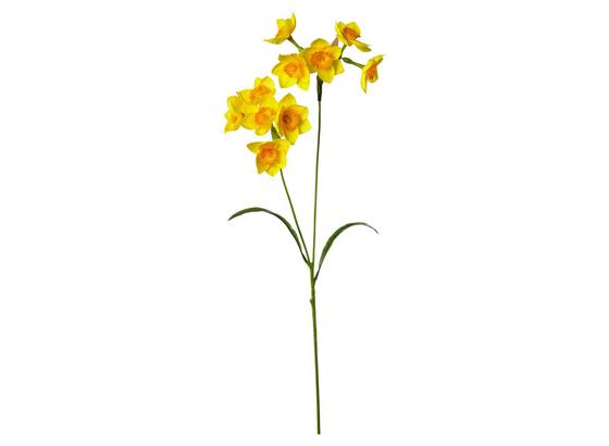Narzisse Ruben - Gelb/Grün, Natur, Kunststoff (68cm) Narzisse Ruben - Gelb/Grün, Natur, Kunststoff (68cm)