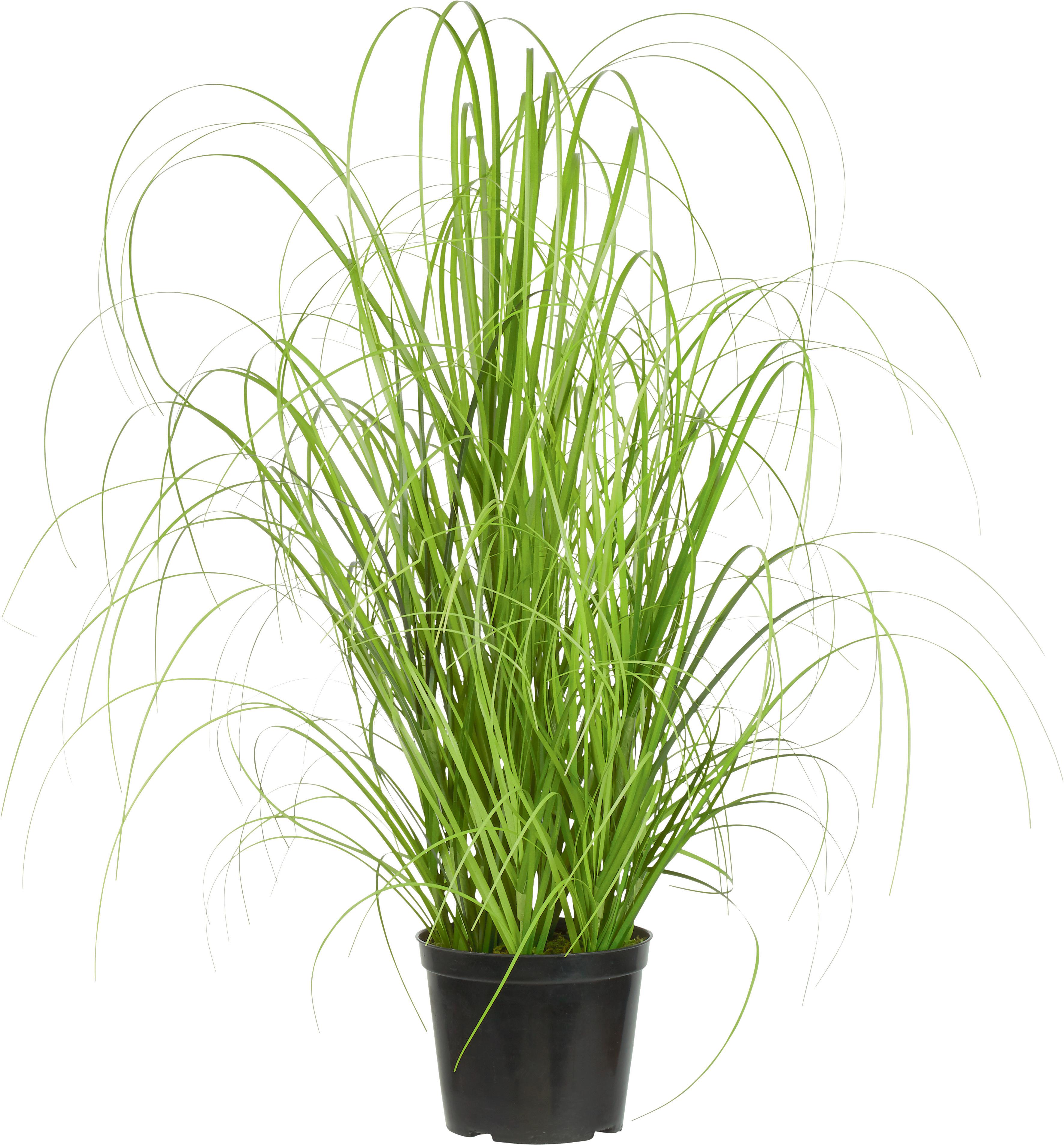 TRS TRÁVY Patrick - zelená, textil (40cm) - Modern Living