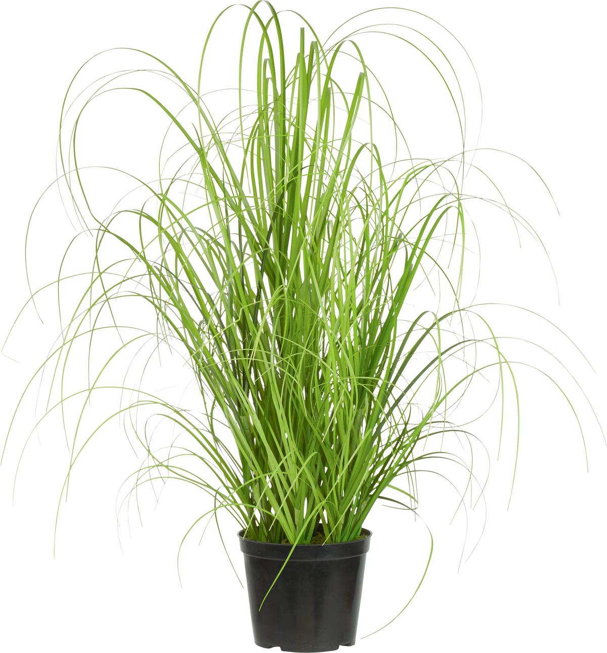 TRS TRÁVY Patrick - zelená, textil (40cm) - Modern Living