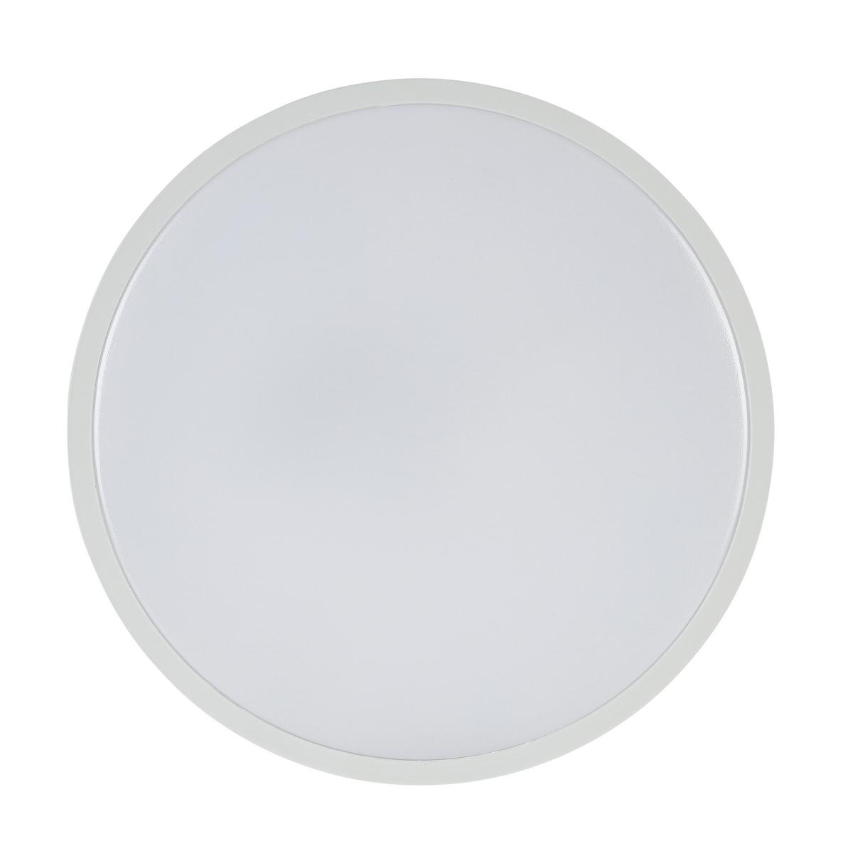 LED-Deckenleuchte, 4000k Cajus - Weiß, Basics, Kunststoff/Metall (29,5/4,2cm) - Luca Bessoni