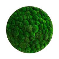 Moosbild Grün B: 80 cm - Grün, Basics, Naturmaterialien/Metall (80/15cm)