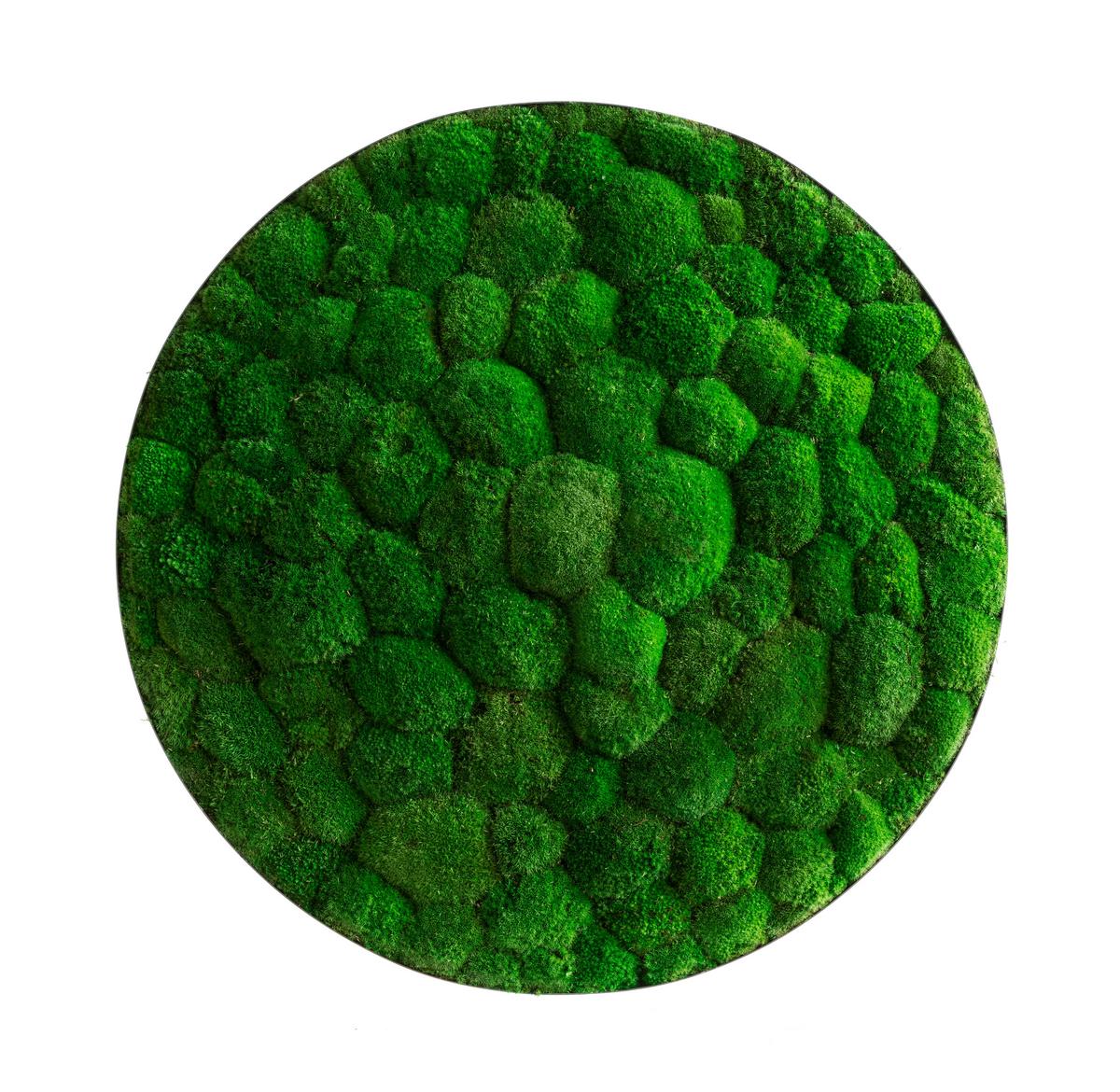 Moosbild Grün 3-teilig - Grün, Basics, Naturmaterialien/Metall (80/10cm)