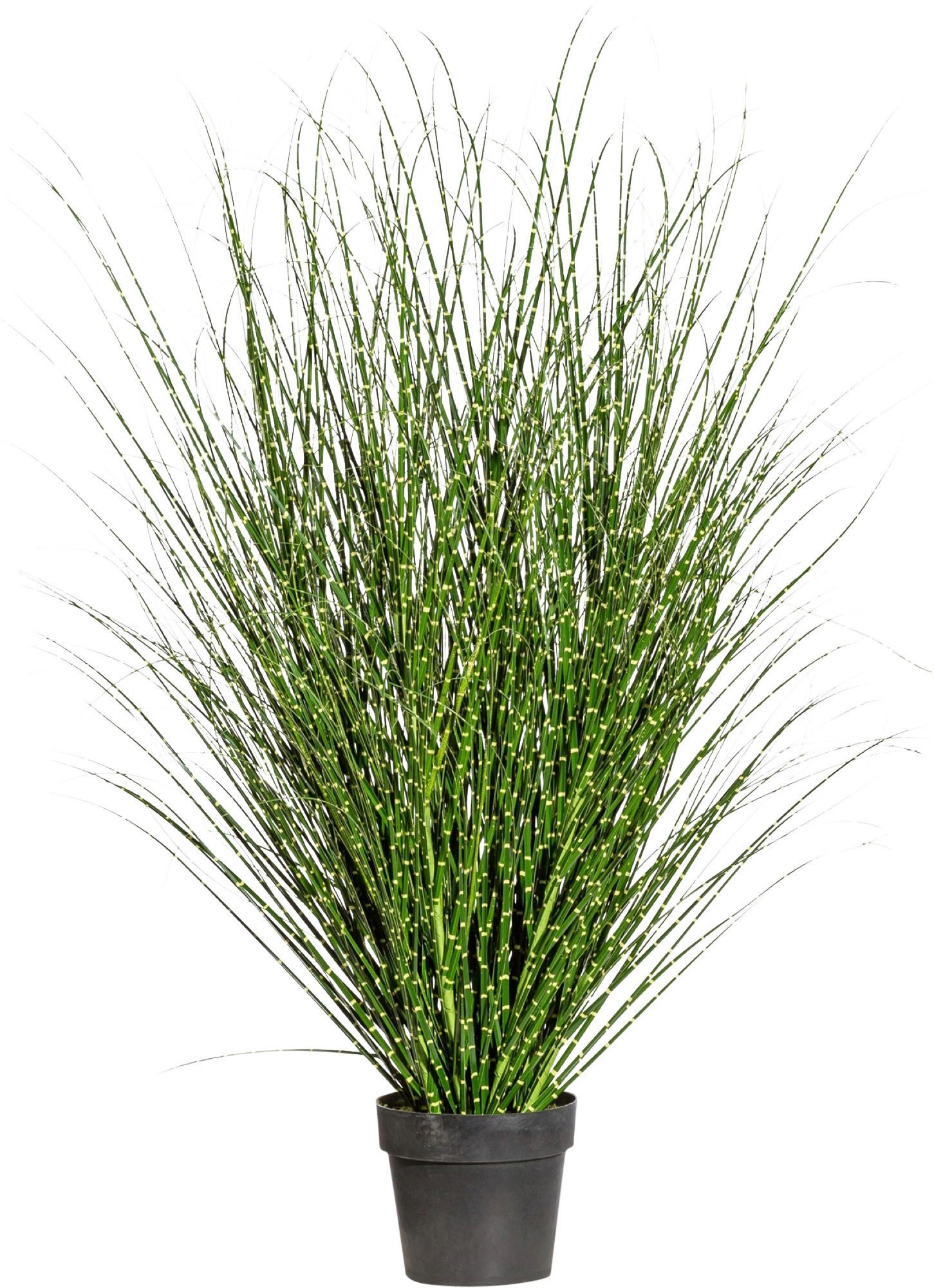 Kunstpflanze Schilfgras H: 140 cm - Gelb/Schwarz, Design, Kunststoff (140cm) - P & B