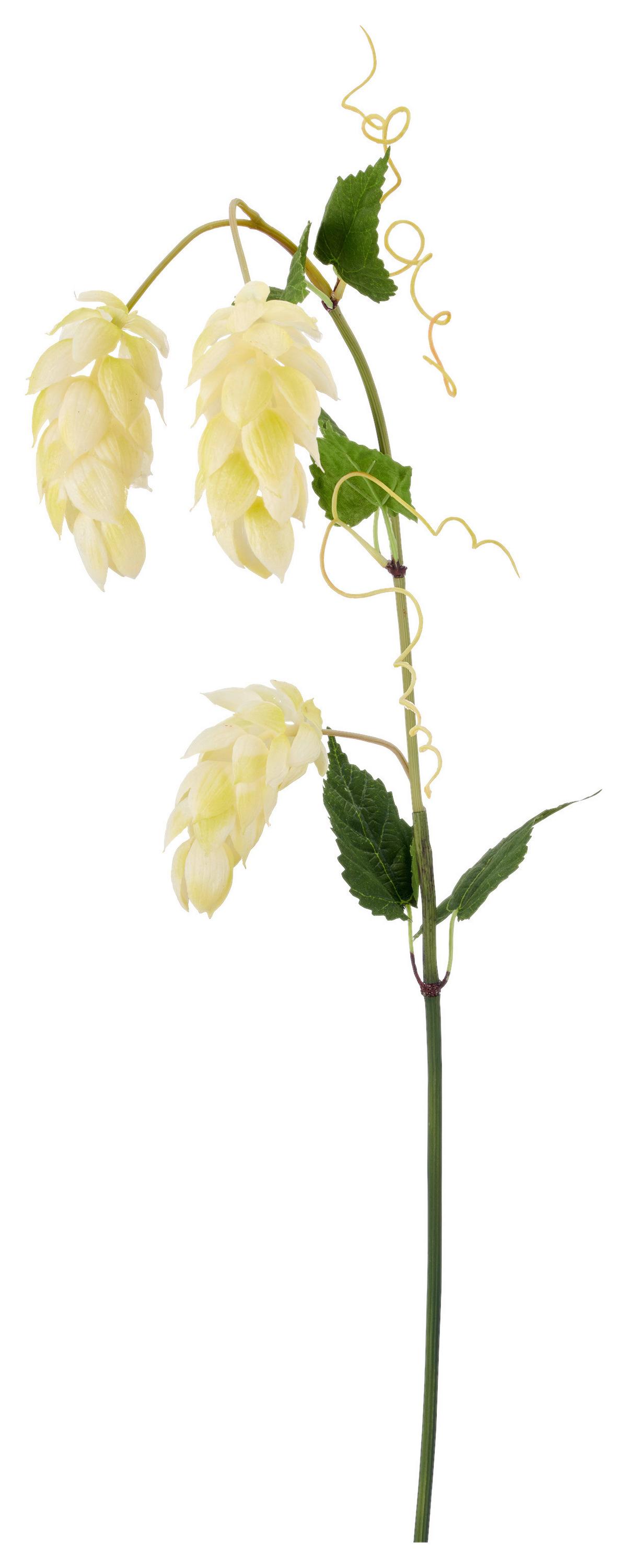 Umělá rostlina HOPFEN I -PAZ- - bílá/zelená, Basics, kov/textil (107cm) - Mömax