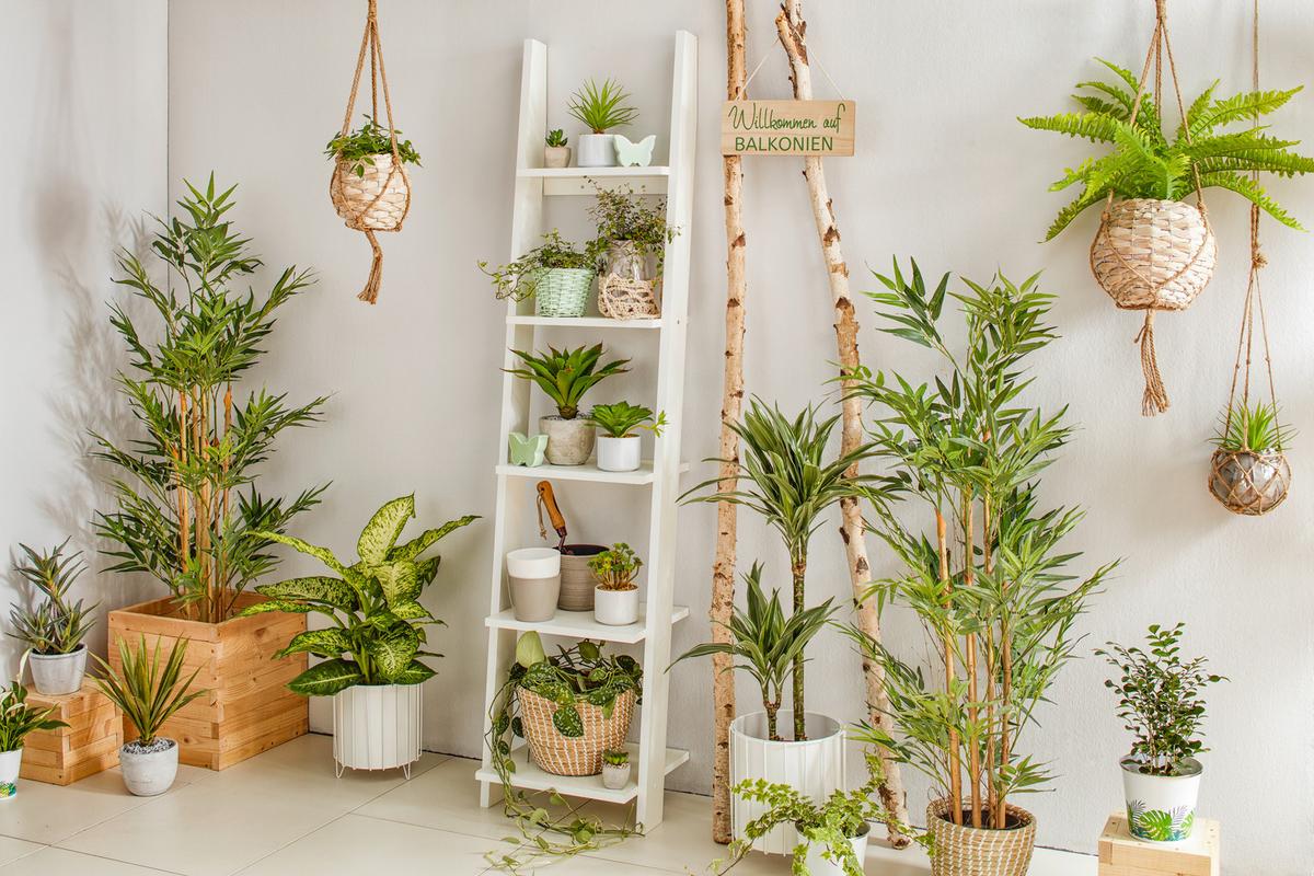 ŽEBŘÍKOVÝ REGÁL SCALA - bílá, Konvenční, dřevo/kompozitní dřevo (41,4/176/34,2cm)