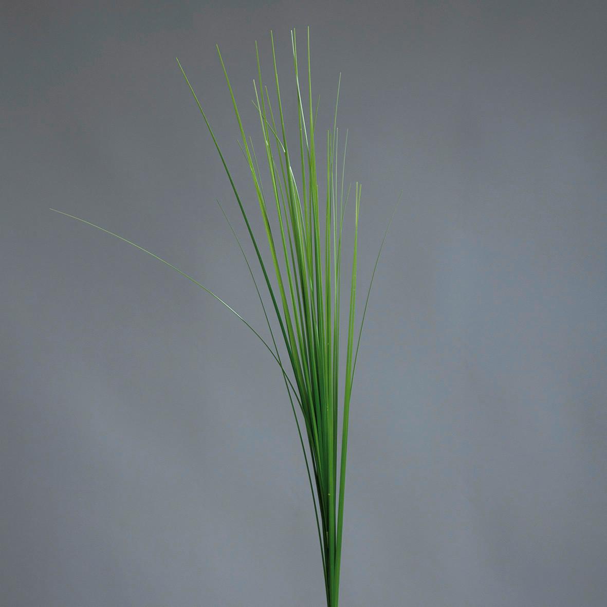 Kunstpflanze Isolepsiszweig Grün L: 70 Cm, Aina - Basics, Kunststoff (70cm)