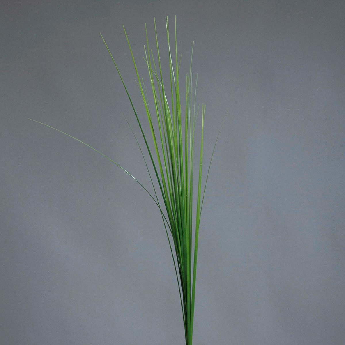 Kunstpflanze Isolepsiszweig Grün L: 70 Cm, Aina - Basics, Kunststoff (70cm)
