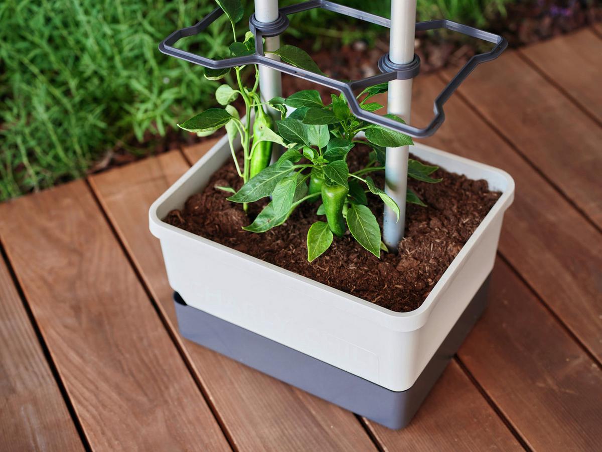 Pflanztopf grau/Hellgrau - Hellgrau/Grau, Basics, Kunststoff (34,5/69/27,5cm) - Gusta Garden