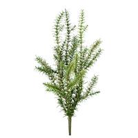 Umělá rostlina ROSMARIN I -PAZ- - zelená, Konventionell, plast (60cm) - Modern Living