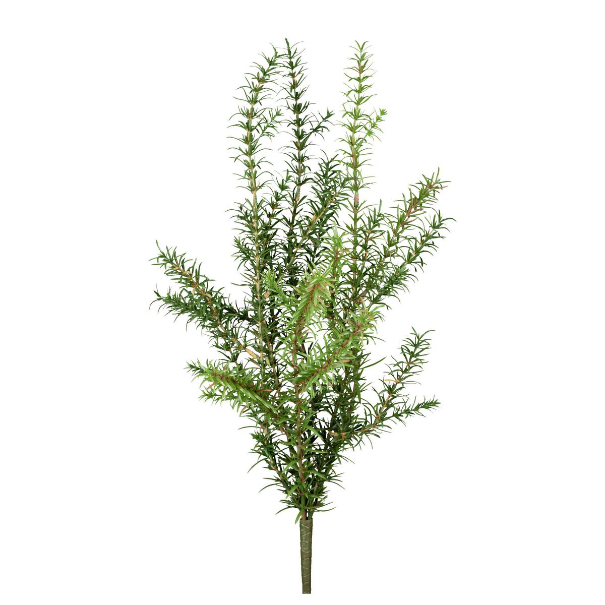 Umělá rostlina ROSMARIN I -PAZ- - zelená, Konventionell, plast (60cm) - Modern Living