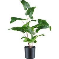 Kunstpflanze H: 50 cm - Schwarz/Braun, Design, Kunststoff (50cm)