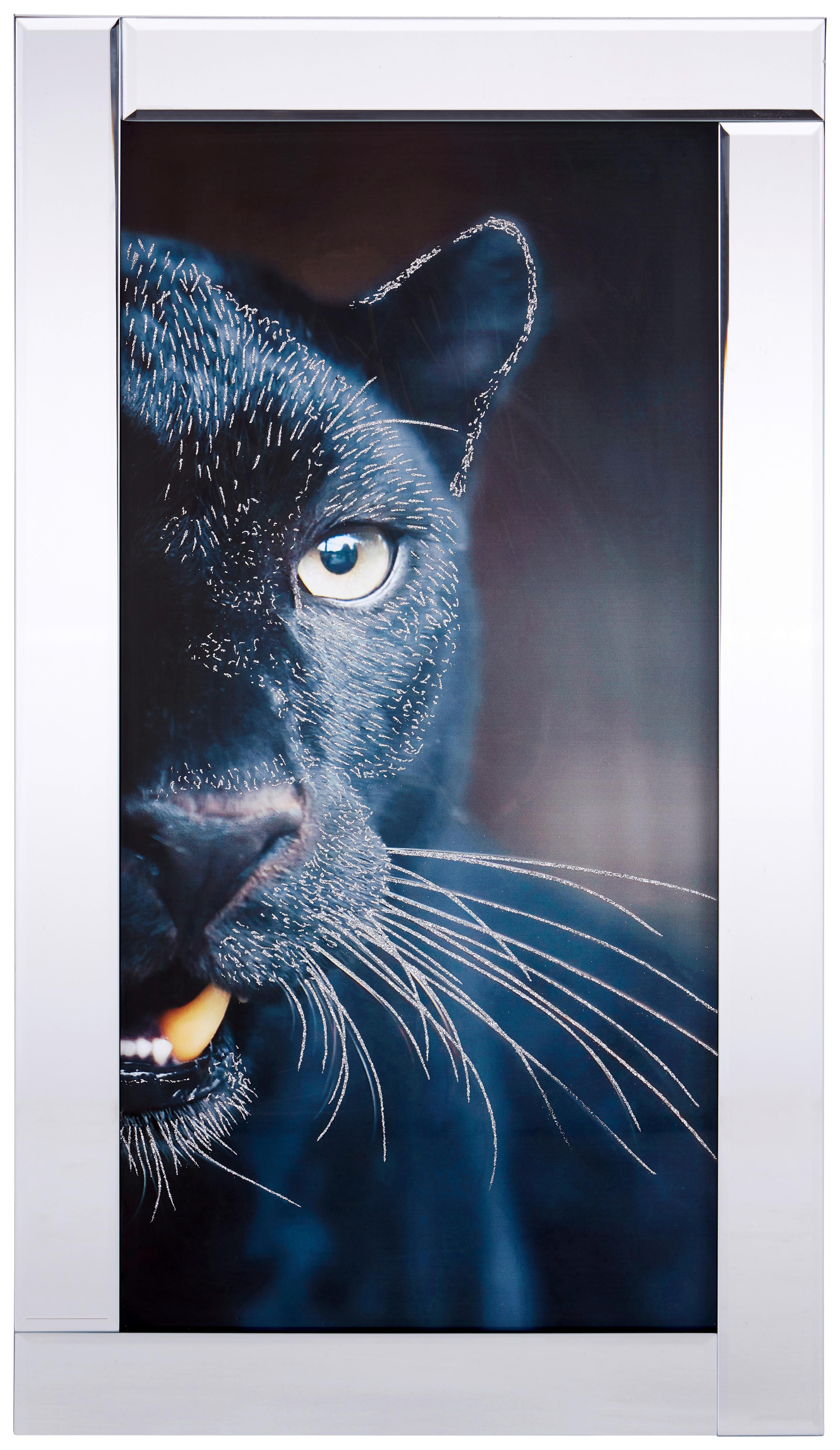 Bild Vitesa Tiere Schwarz/weiß 38x68 Cm - Schwarz/Weiß, Basics, Glas/Papier (38/68/2,3cm) - Luca Bessoni