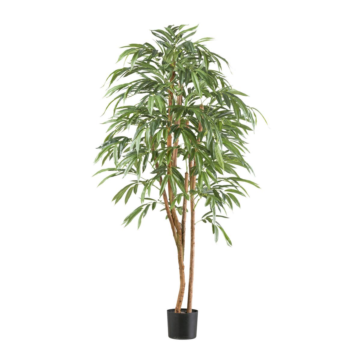 Kunstpflanze Ficus Benjamina mit Naturstamm H: 170 cm - Schwarz/Naturfarben, Design, Naturmaterialien/Kunststoff (170cm) - P & B