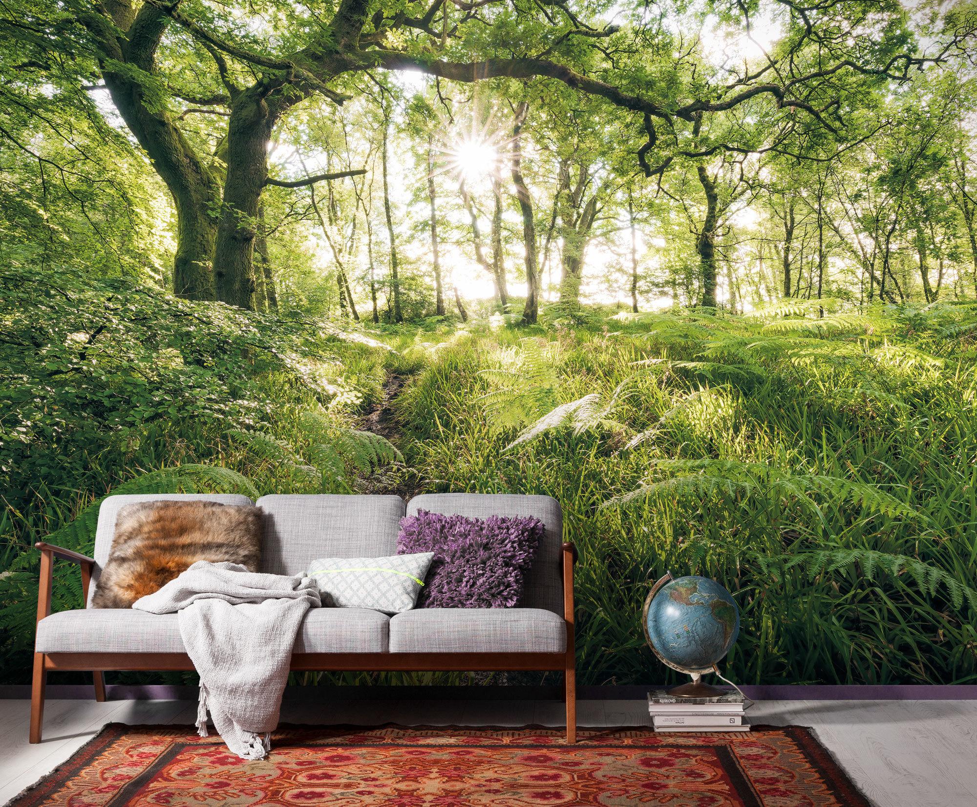 Vliestapete Sh045-Vd4 Mystic Path - Natur (400/250cm)