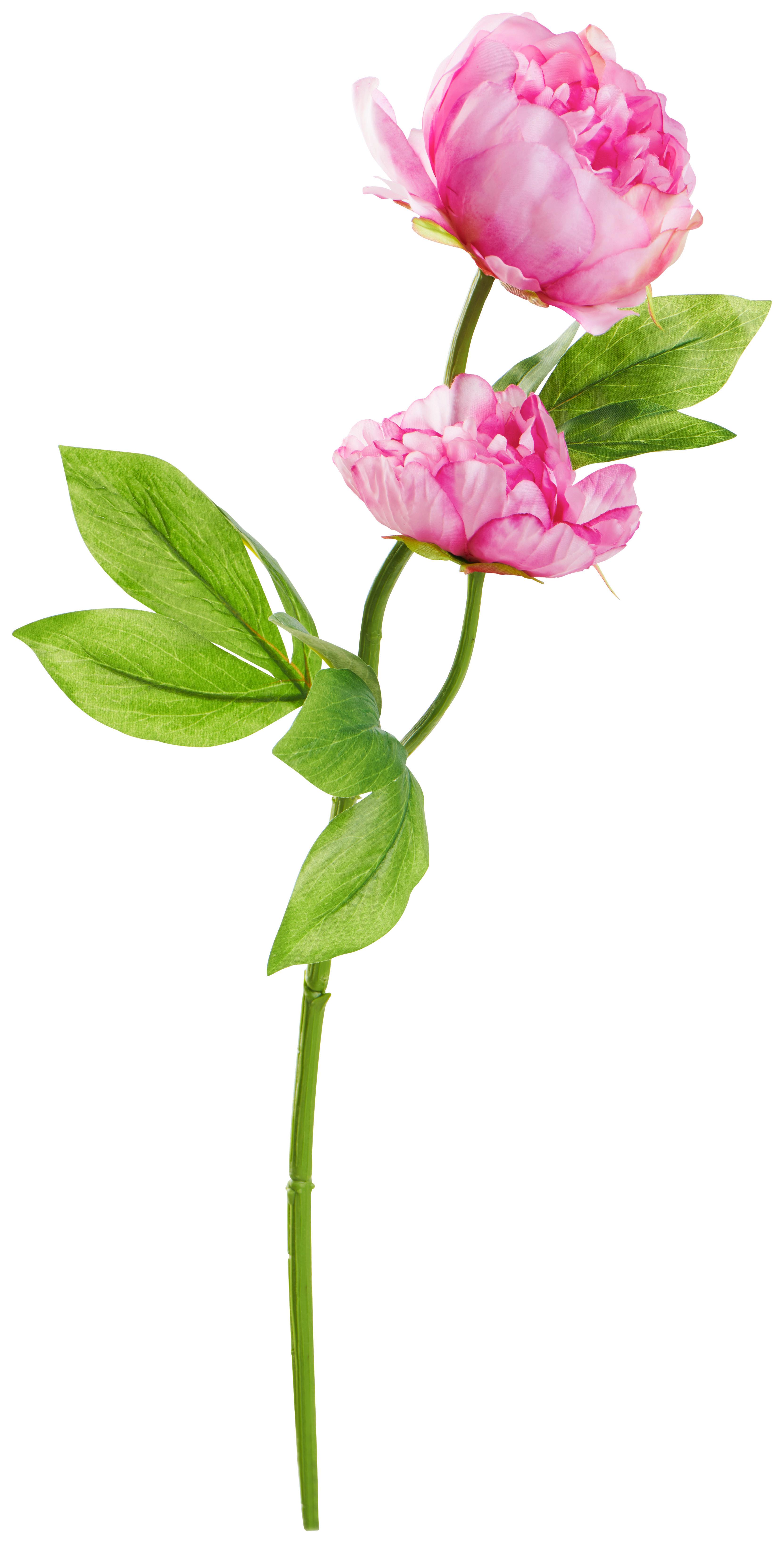 Kunstpflanze Pfingstrose Rosa L: 60 cm, Aileen - Grün, Basics, Kunststoff/Textil (60cm)