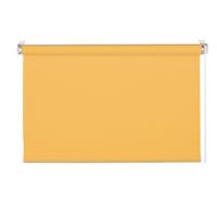 Rollo Win Goldfarben B: 90 cm - Goldfarben, Basics, Textil (90/210cm)