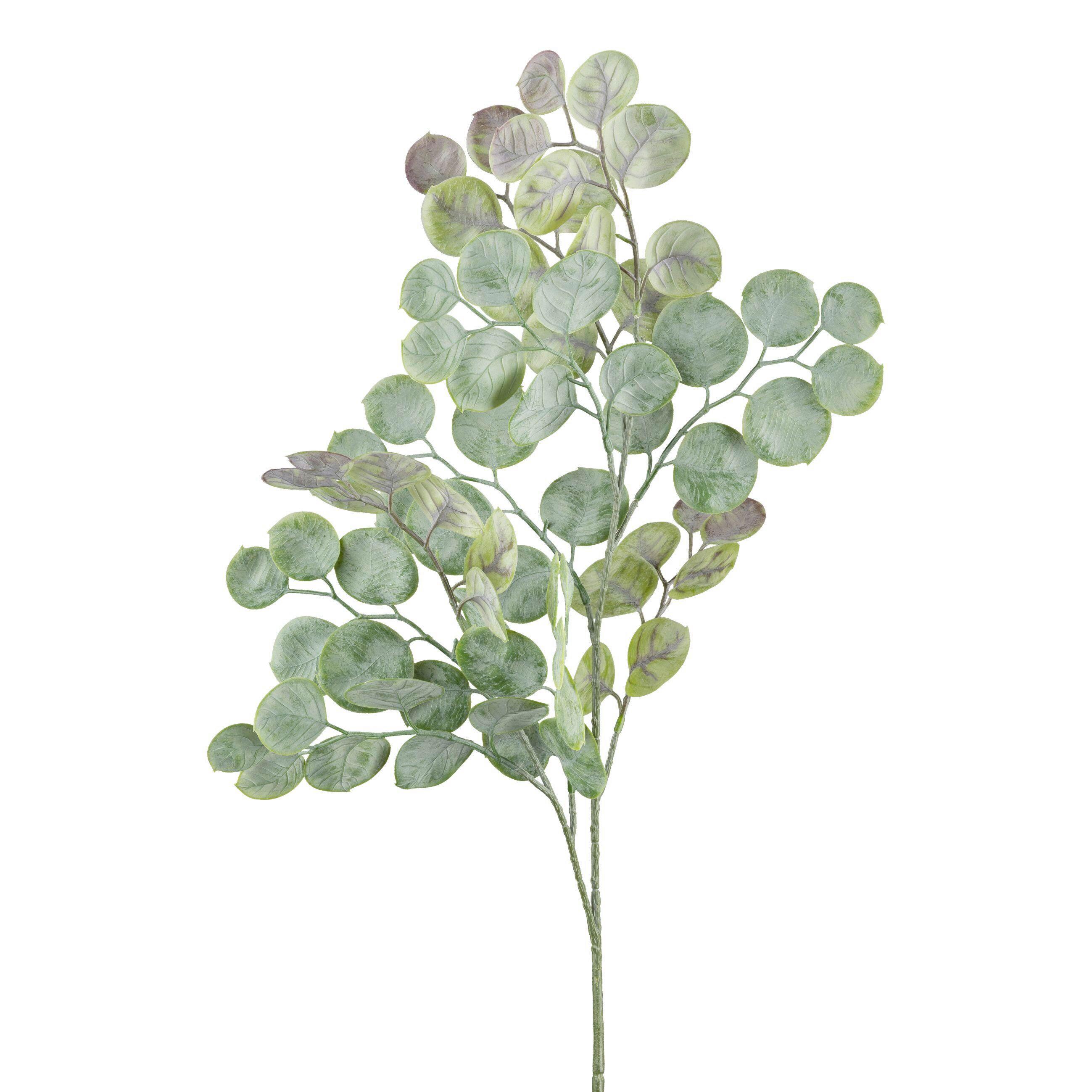 Kunstpflanze Eukalyptuszweig - Grau/Grün, Basics, Kunststoff (73cm)