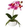 Kunstpflanze Orchidee Rosa, Inkl. Topf, H: 27 Cm - Dunkelrosa/Rosa, Design, Keramik/Kunststoff (27cm) - P & B