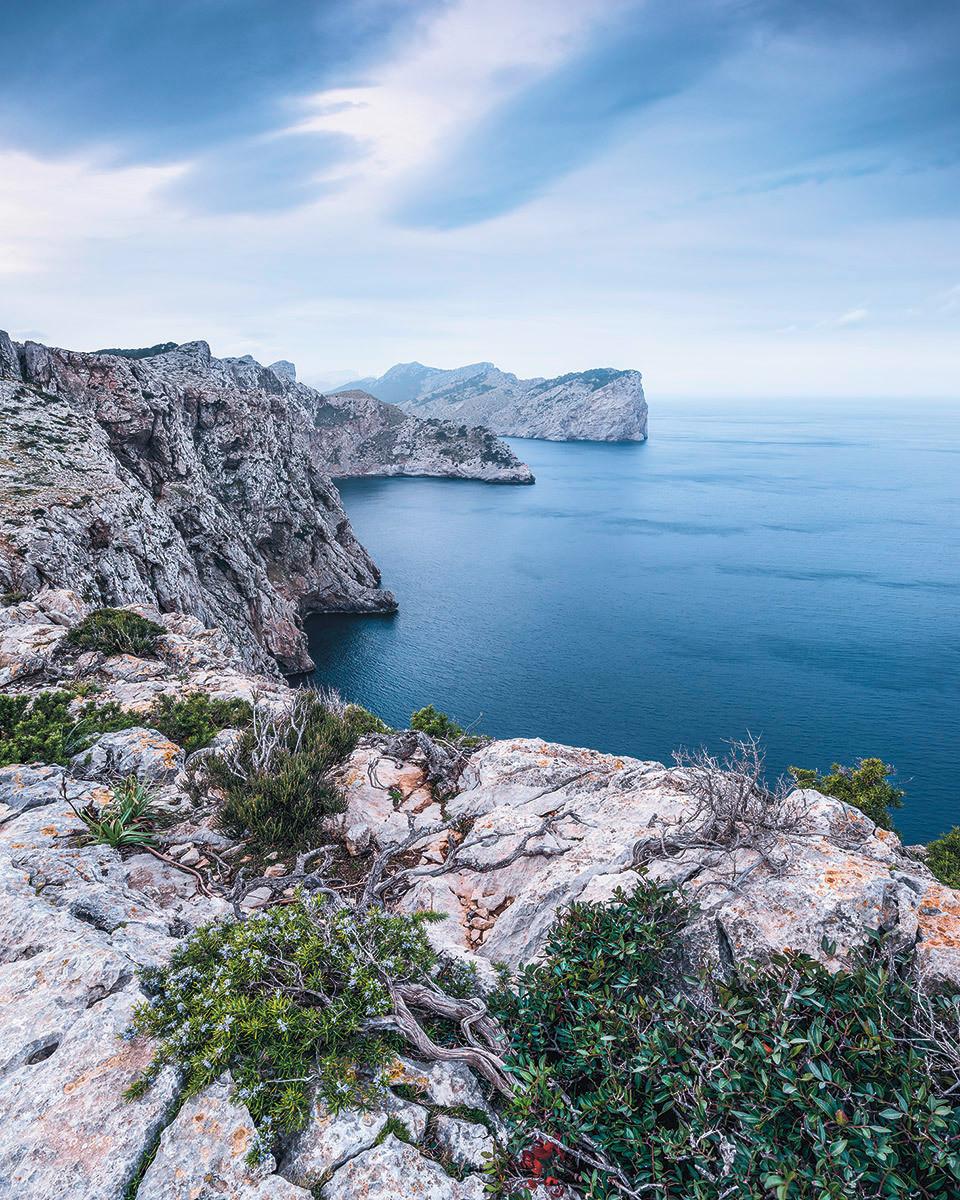 Vliestapete Bizarre Coast - Natur (200/250cm)
