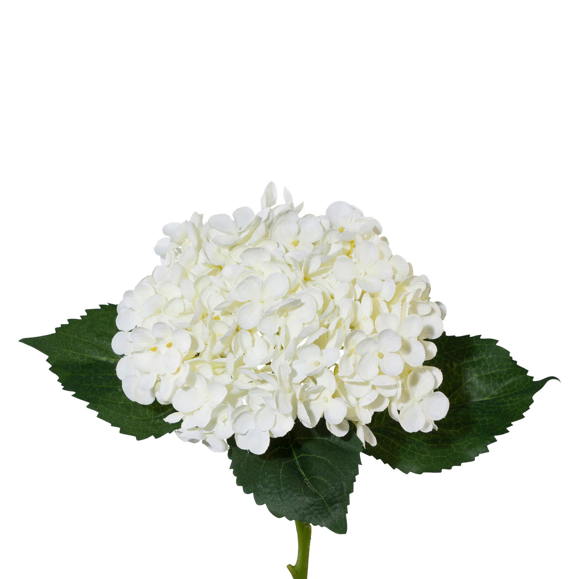 Kunstblume Hortensie Grün/ Weiß L: 53cm, Lia - Weiß/Grün, Natur, Kunststoff (53cm)