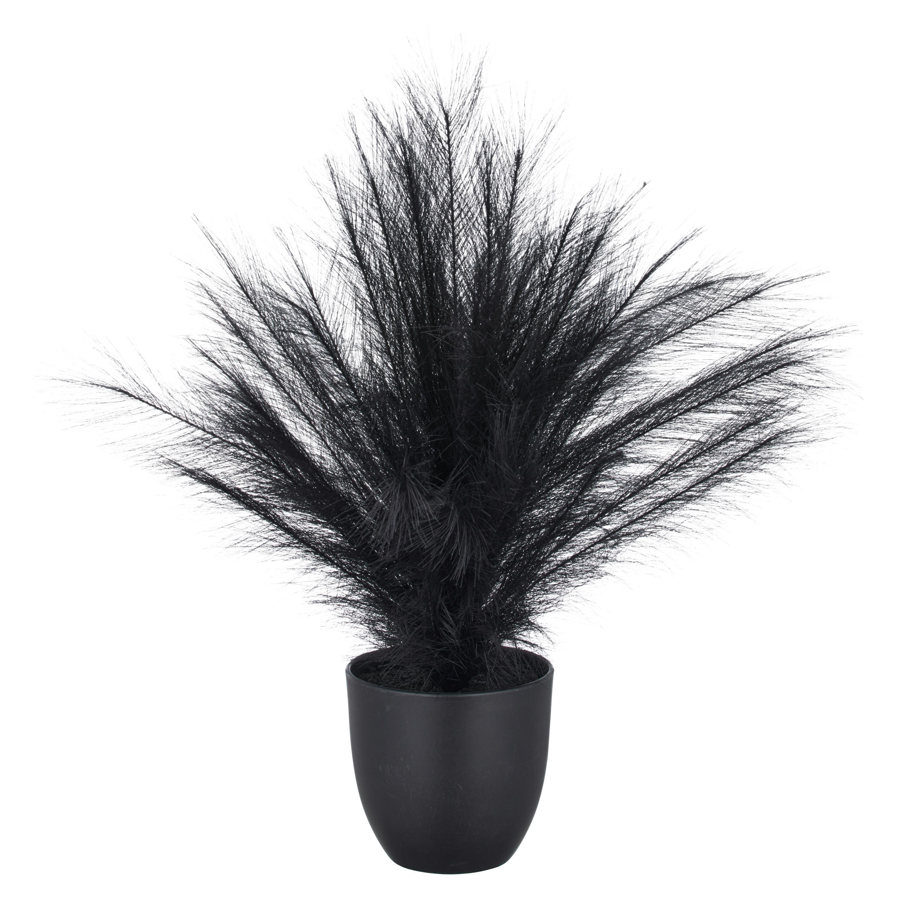 Umelá rastlina PAMPASGRAS I - čierna, Basics, plast (14,5/63cm) - Mömax