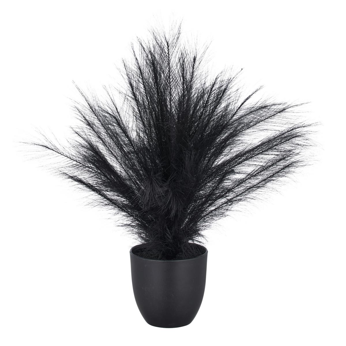 Umelá rastlina PAMPASGRAS I - čierna, Basics, plast (14,5/63cm) - Mömax