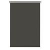 Verdunkelungsrollo Sarah Verdunkelnd 45x150 cm - Schieferfarben, MODERN, Textil (45/150cm) - Luca Bessoni