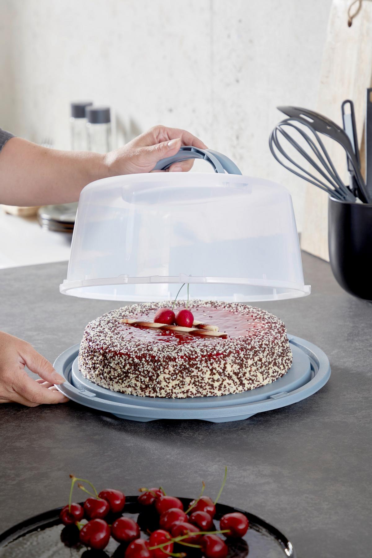 Kuchentransportbox Rund Josefa D/h: Ca. 34/15 Cm - Pastellblau/Transparent, MODERN, Kunststoff (34/15cm) - Luca Bessoni
