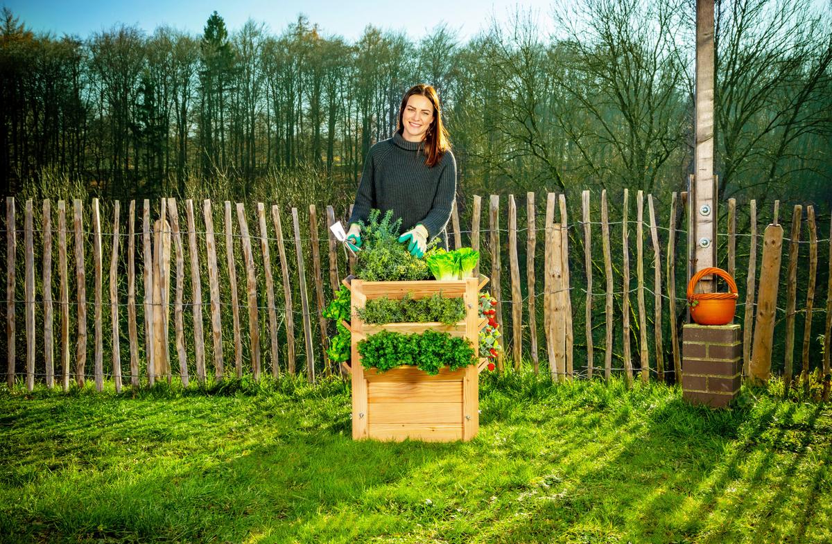 Hochbeet Echtholz Lärche 65x73x65 cm - Lärchefarben, Basics, Holz (65/73/65cm)